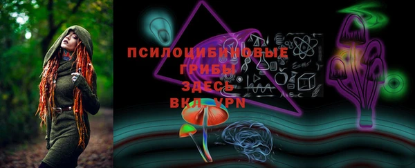 ПСИЛОЦИБИНОВЫЕ ГРИБЫ Богородицк