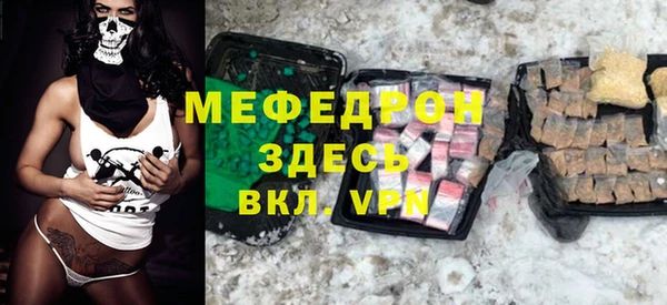 прущие грибы Новозыбков