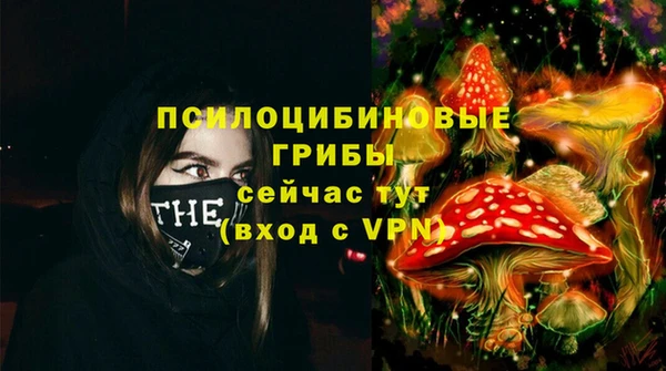 ПСИЛОЦИБИНОВЫЕ ГРИБЫ Богородицк