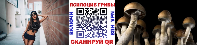 Псилоцибиновые грибы GOLDEN TEACHER  Тольятти 